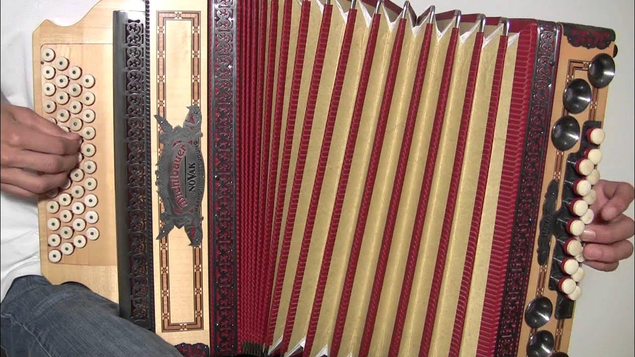 Styuardessalarning eshakda sikilgan surati