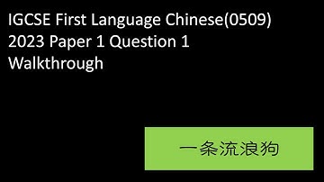 IGCSE First Language Chinese(0509) 2023 13 Paper 1-Question 1 Complete Walkthrough 现代文阅读《一条流浪狗》