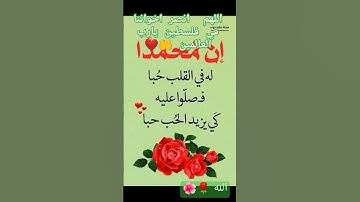 الشيخ سيد سعيد 🥺❤عظمة 🥰🥰 #قلب_مطمئن #تلاوة_خاشعة 🌺🌺