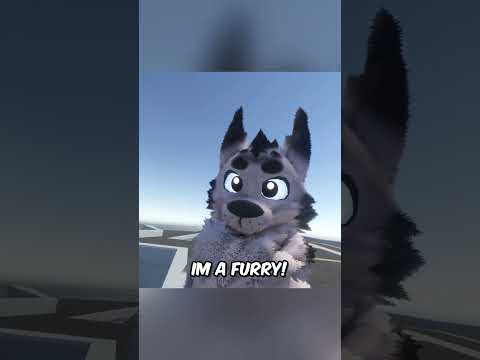 Wideo: Losing a Furry Friend