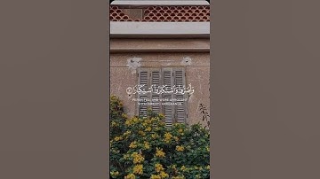 تلاوة تنسيك الدنيا وما فيها 🥺🤎#قرآن #قرآن_كريم #الله #تلاوة_خاشعة #اكسبلور #quran #explore