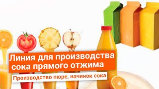 Подготовка и переработка фруктов, овощей и ягод для производства сока