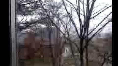 The World is ending at Cornell