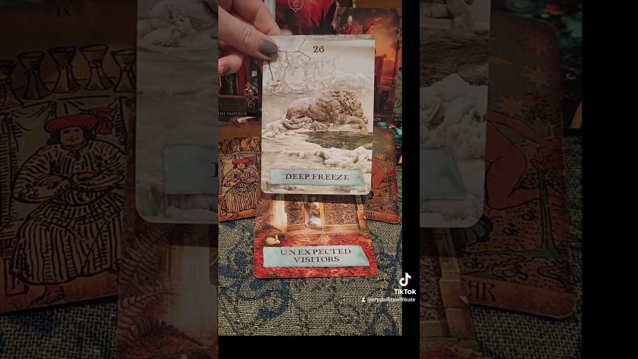 Leo - May 2024 - Tarot Reading