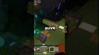 This Minecraft Bridge Builds Itself! 🤯