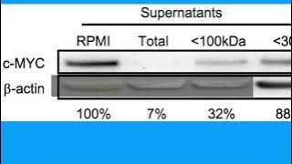 9E4F81BA37CE802C0C888FCB3CA941#1