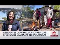 🔴 EN VIVO | Noticias Univision Orlando 12:30 pm 02/02/26