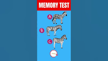Memory Test Quiz Challenge! 🧠 Memory Riddles for IQ Test Part 4 #riddles #quiz #shorts #shortvideo