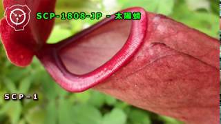 【怪異622】SCP-1808-JP - 太陽蛸