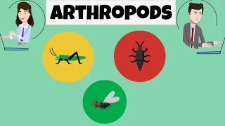 Characteristics of Arthropods