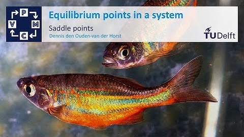 Equilibrium points in a system - Mathematical Modelling - Mathematics - TU Delft
