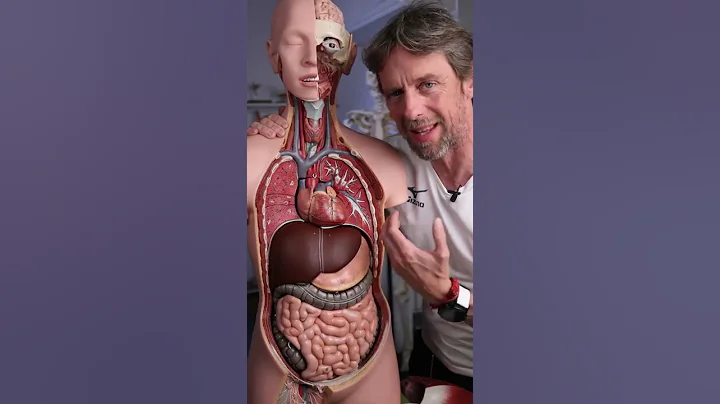 #shorts - how big are your lungs? - DayDayNews