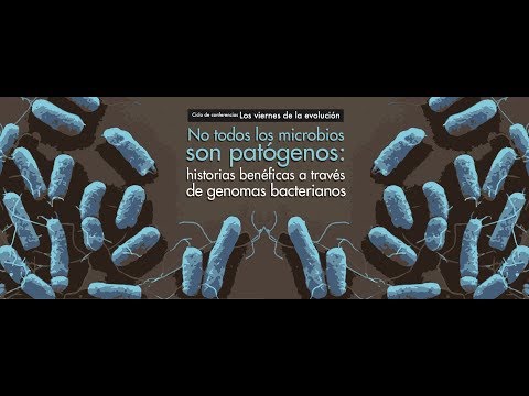 Vídeo: Los Microbios Mutantes Son Una Amenaza Real Para La Humanidad - Vista Alternativa