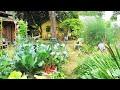 One Homesteader Explains How She Applies Permaculture Principles To Her Backyard Food Garden
