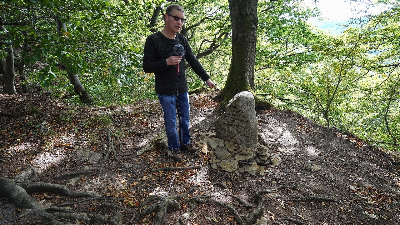 Der Süntel ( Hohenstein, Schlachtfeld v. 782 etc. )