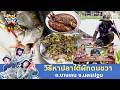 ตะลุยริมน้ำท่าจีน! พาดูวิธีหาปลาใต้ผักตบชวา อ.บางเลน จ.นครปฐม | ตามอำเภอจาน | 19 พ.ค.69 Full EP