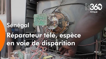 Thumbnail of Réparateur de téléviseur, espèce en voie de disparition Les télés en panne, bonnes pour la casse