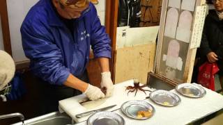 函館朝市現釣小卷後馬上做成生魚片