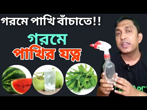 ভিডিও: গ্রীষ্মে পাখিদের কি ফিডার দরকার?