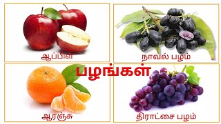 பழங்களின் பெயர்கள்பழங்கள் / palangal / fruits name in tamil/prinit