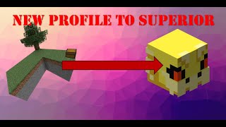 Hypixel Skyblock - Auction Flipping New Profile, Road to Superior (1)