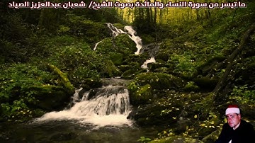 ما تيسر من سورة النساء والمائدة بصوت الشيخ/  شعبان عبدالعزيز الصياد