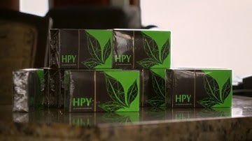 ПЕРВАЯ ПРЕЗЕНТАЦИЯ HPY В ПАНАМЕ