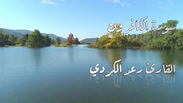 سورة الكافرون القارئ رعد الكردي