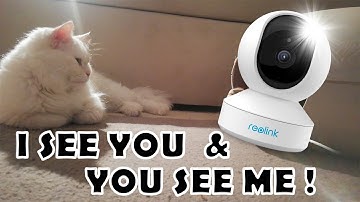 Viewing My Cat With The Reolink Camera