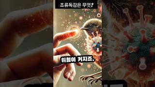 조류 독감은 무엇일까? #조류독감 #ai