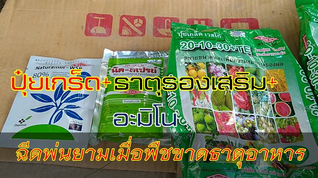 ปุ๋ยเกร็ด+ธาตุรอง+ธาตุเสริม+กรดอะมิโน | ข้อมูลที่ถูกต้องที่สุดเกี่ยวกับร้าน รับ ซื้อ อาหาร เสริม จำนวน มาก