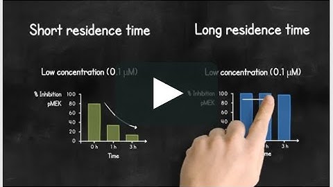 Hands and Strokes Animation | Visual Option for 2D Explainer Videos