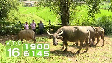 Giảm nghèo đa chiều - giảm nghèo bền vững và câu chuyện tại Việt Nam I VTC16