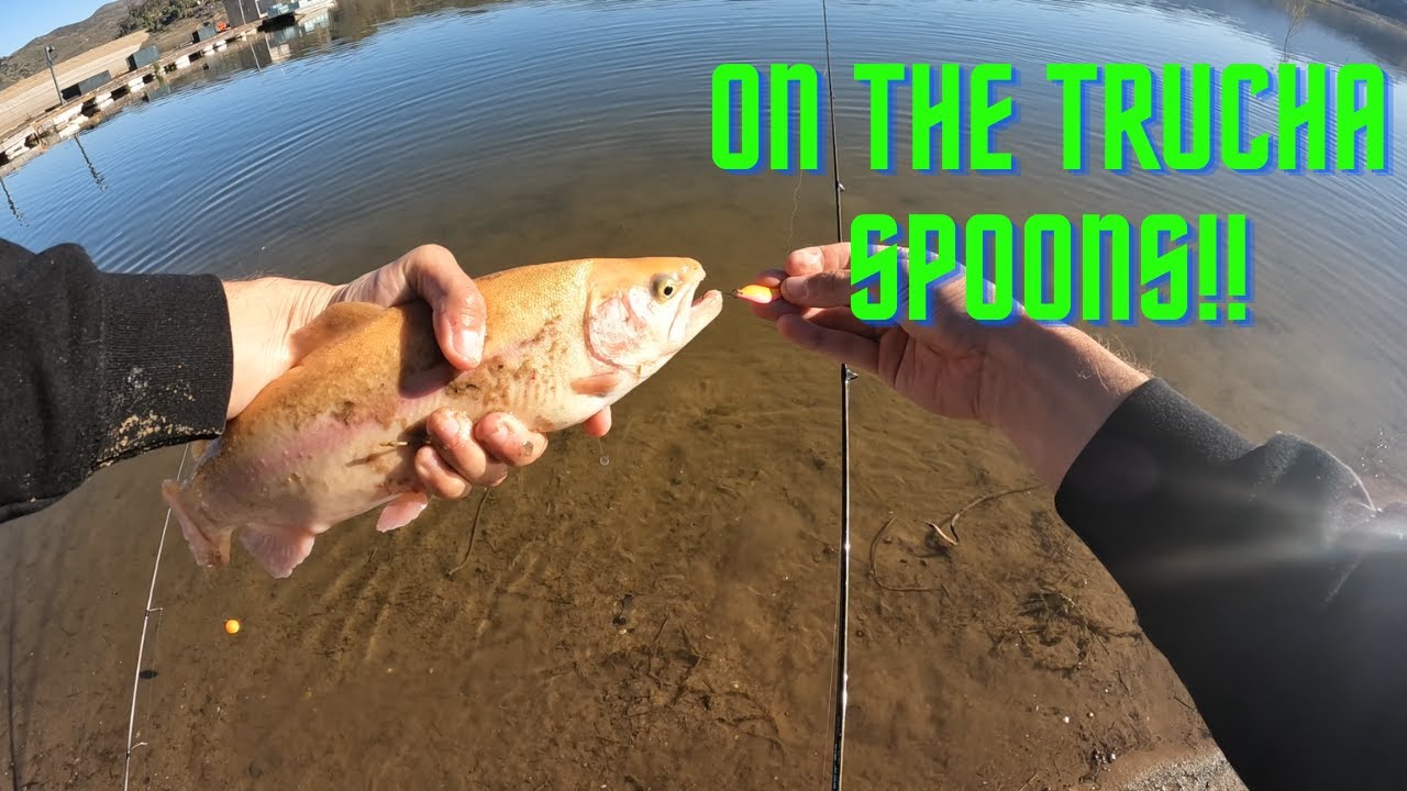 fishing irvine lake for trout with ultra light 2 lb line