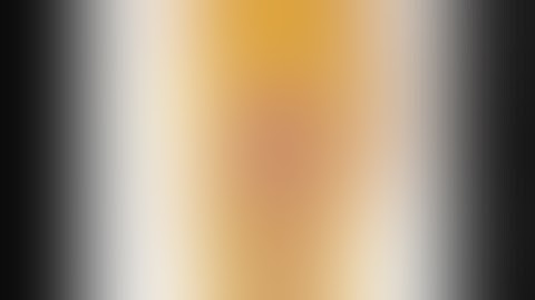 Dynamic Focus+Context for Volume Rendering (1)