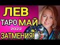 ЛЕВ - МАЙ 2022/ЛЕВ  ТАРО на МАЙ 2022 /СОЛНЕЧНОЕ ЗАТМЕНИЕ/ЛУННОЕ ЗАТМЕНИЕ/OLGA STELLA