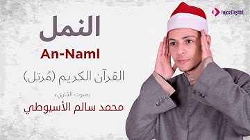 سورة النمل  _ القارئ محمد سالم الأسيوطي