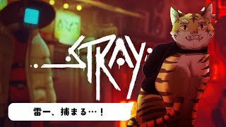 【STRAY】ジェイルに捕まった！　#3【Vtuber/虎縞雷一】