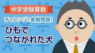 中学受験算数 チャレンジ 実践問題 ひもでつながれた犬の問題 Youtube 中学受験算数 チャレンジ 実践問題 ひもでつながれた犬の問題 Youtube
