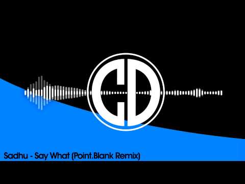 Sadhu - Say What (Point.Blank Remix)