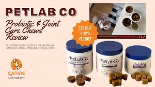 PetLab Co. Probiotic Chews for Allergy & Immunity and Joints Review (& Our Experience)