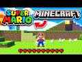 What if you put Minecraft inside of Super Mario 3D World?