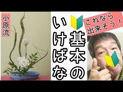 🔰生け花 初心者向け 小原流 花意匠 たてるかたちのポイントをおさえ