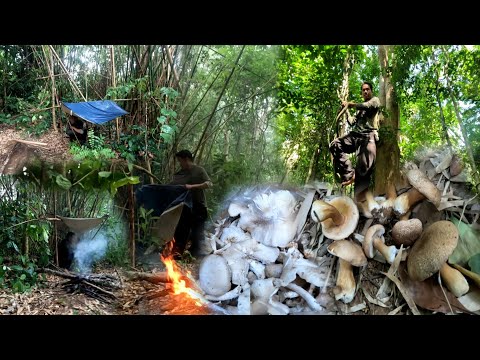 ວ່າຊິເຮັດກິນເຈີຝົນຕົກເເຮງໆ//ว่าชิเฮ็ดกินเจอฝนตกเเฮงๆ.