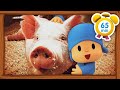 POCOYO MAGYARUL – 🐷VIDÉKI NYARALÁS🐔 | [65 perc] Teljes Epizódok | Rajzfilm gyerekeknek