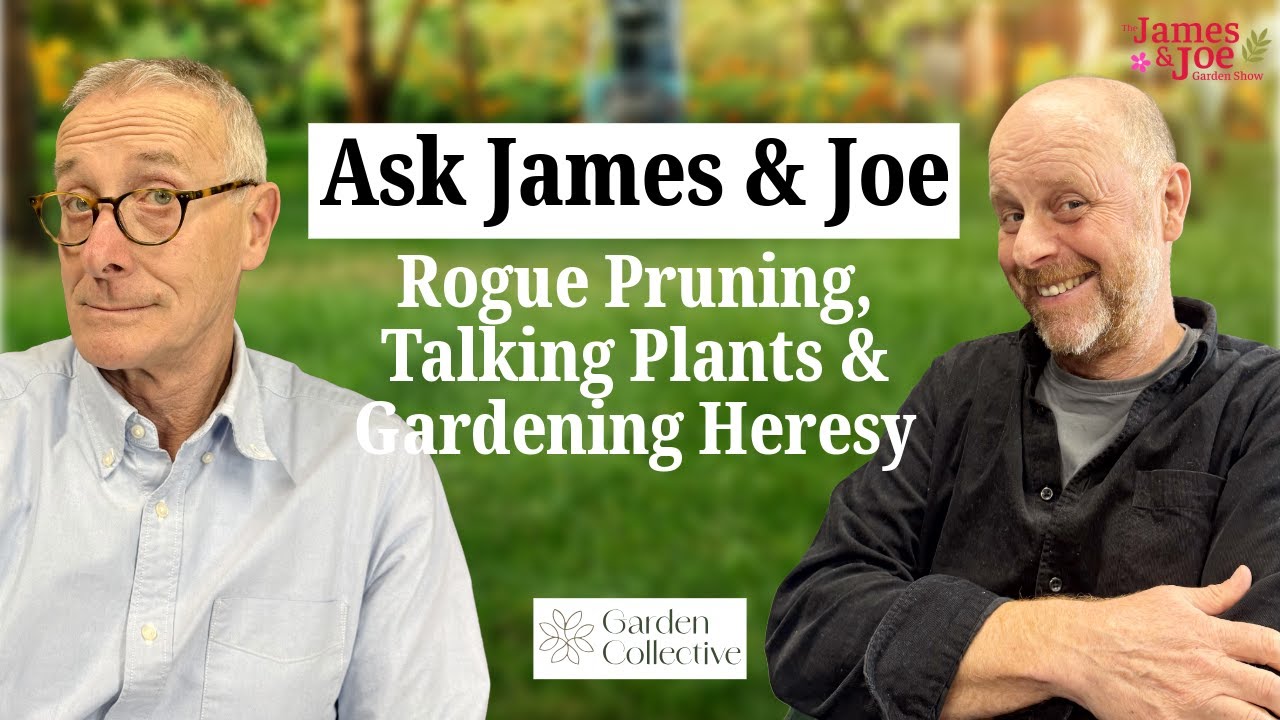 Спросите Джеймса и Джо: Неправильная обрезка, говорящие растения и садоводческая ересь.