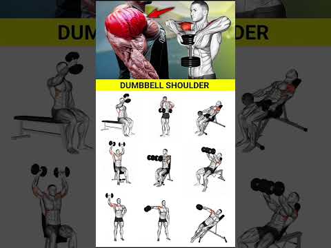 چندین حرکت سرشانه با دمبل دمبل سرشانه بدنسازی بدنساز