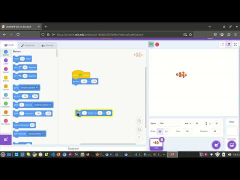 coordinates in scratch (practical)