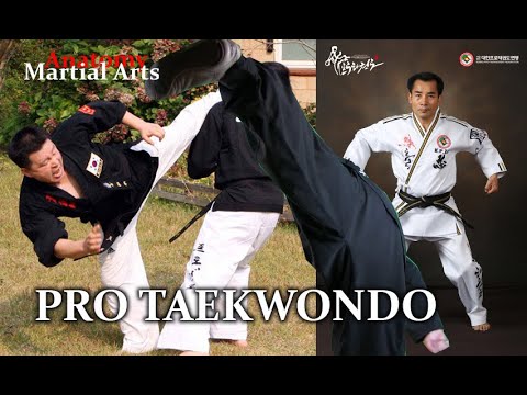 Video: Taekwondo On Spordiala Hingele