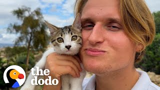 Rescued Kitten Pulls Dad Along On Hikes | The Dodo